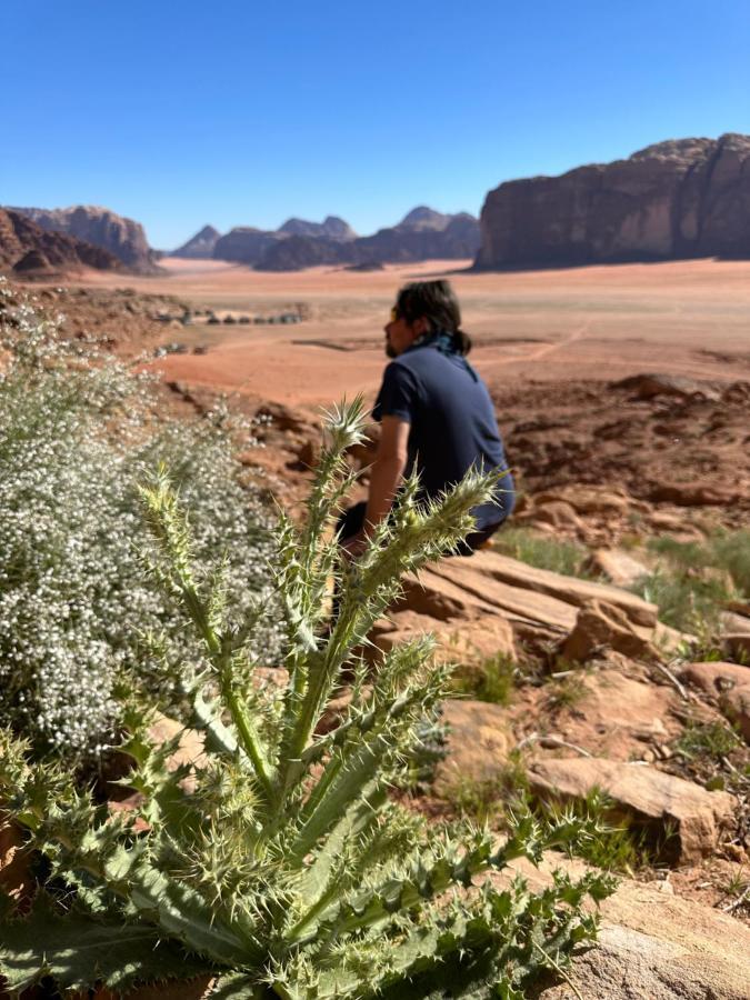 Bedouin Future Camp Hotel Вади Рум Екстериор снимка