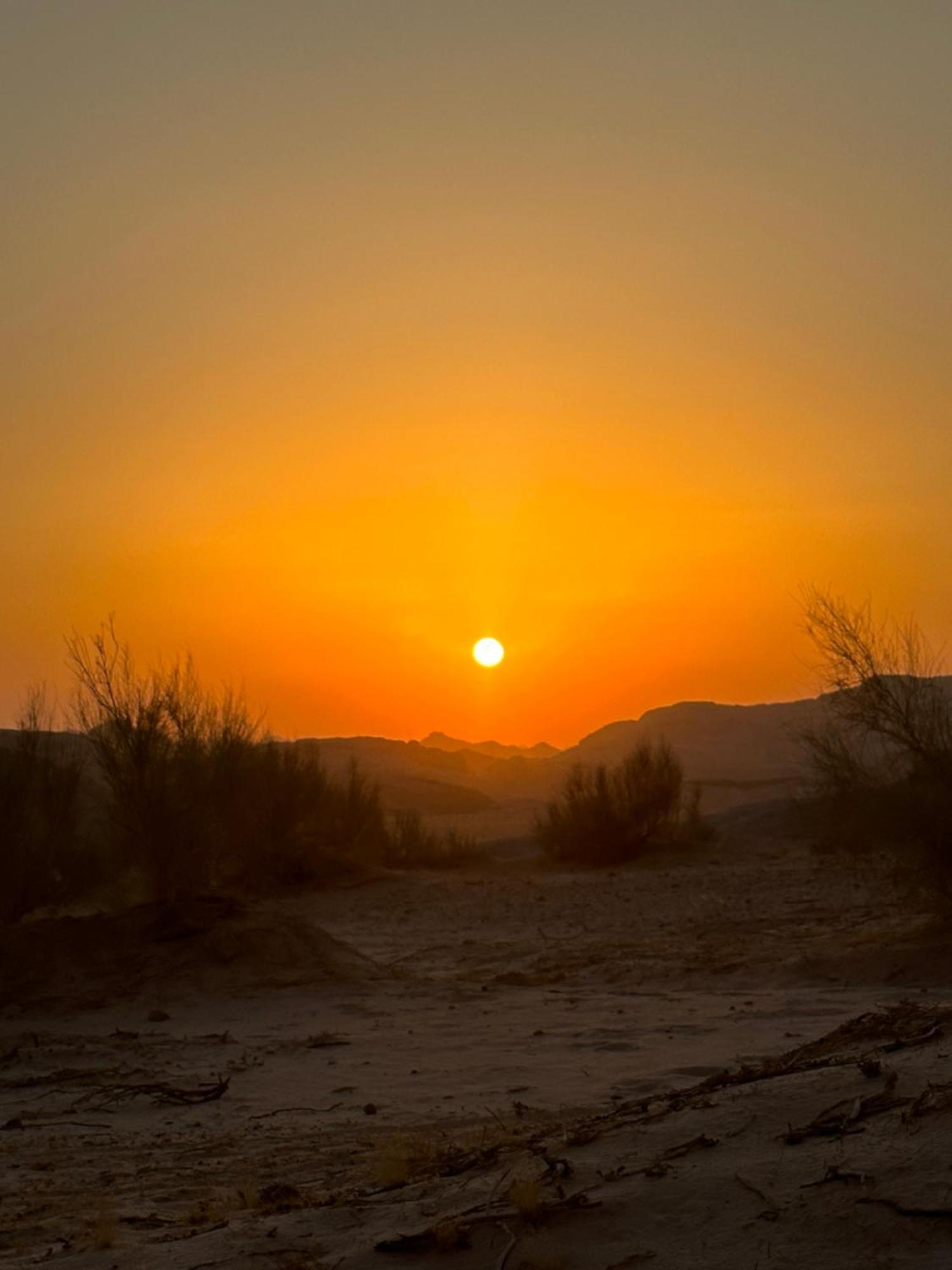 Bedouin Future Camp Hotel Вади Рум Екстериор снимка