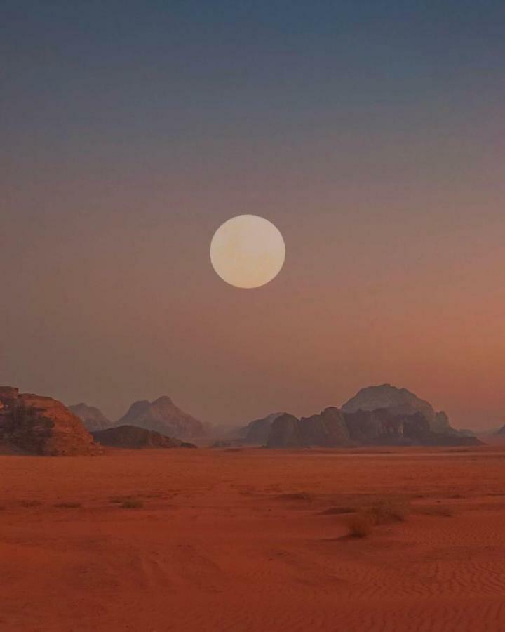 Bedouin Future Camp Hotel Вади Рум Екстериор снимка